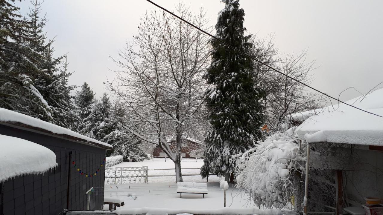 Ferienwohnungen! Kleine Bungalows Mit Terrasse! Stockhausen-Illfurth Zewnętrze zdjęcie