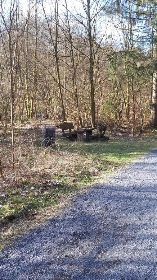 Ferienwohnungen! Kleine Bungalows Mit Terrasse! Stockhausen-Illfurth Zewnętrze zdjęcie