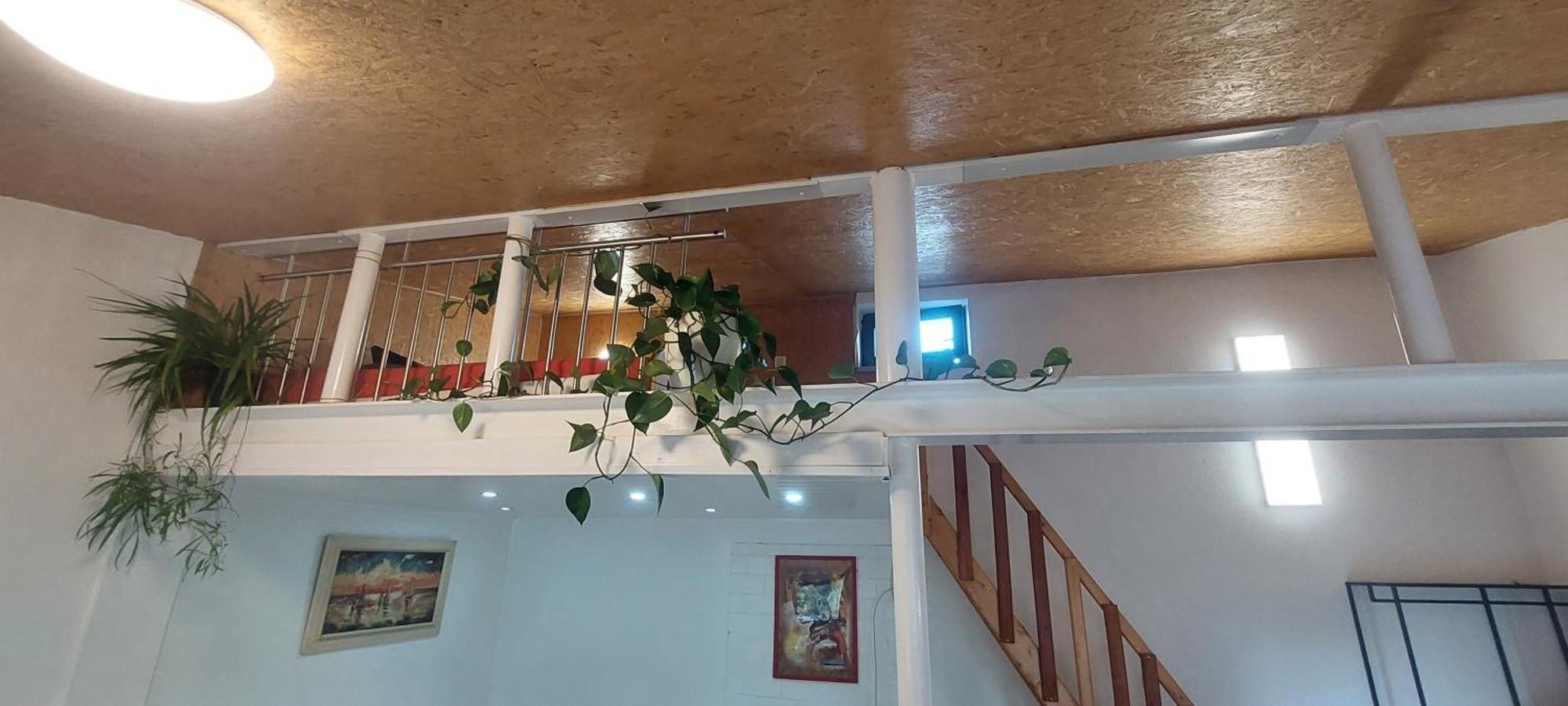 Ferienwohnungen! Kleine Bungalows Mit Terrasse! Stockhausen-Illfurth Pokój zdjęcie